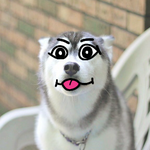 Федор Ш.